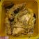 Cooksnap dari windy rahma untuk resep Ayam goreng ungkep