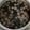 Cooksnap dari Madu Retno untuk resep Sup Rumput Laut Korea (Miyeok Guk)