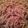 El cooksnap de Moncha Rendon cuando hizo Pasta al chipotle con salchichas😍😘😘👍👍💖.