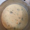 indy1's cooksnap of when they made Broccoli Cheddar Soup.