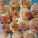 Cooksnap dari Yasmeen Khanna untuk resep Kue Sus Anti Kempes beserta Tips Anti Gagal