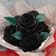 Cooksnap dari Yoleen Wang untuk resep Puding Mawar Cincau