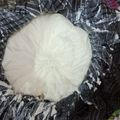 Shah Prity Shah Prity's cooksnap of when they made ગ્રીક યોગર્ટ (Greek Yoghurt Recipe In Gujarati).