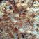 El cooksnap de Carina P cuando hizo Tarta de manzana con crumble.