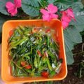 Cooksnap dari Tely Hanggiarti untuk resep 24. Cah Kangkung Kacang panjang ala Bunda