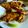 Sanchita Das(Titu)'s cooksnap of when they made খয়রা মাছের ঝাল (Khoira Macher Jhal Recipe In Bengali).