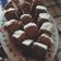El cooksnap de Darlyn Kuyén Aburtos Campos cuando hizo Queque de chocolate.