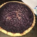 lidilu3's cooksnap of when they made Buttermilk Blueberry Pie.