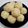 Rani's Recipes का कुकस्नैप जब उन्होंने नारियल बुरादा   लड्डू (nariyal burada ladoo recipe in Hindi) बनाया था।