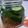 Cooksnap dari Hany's Kitchen untuk resep Pickles