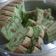Cooksnap dari Moms Izzam untuk resep Marble Cake / Bolu Jadul