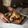 Cooksnap dari cutzamania untuk resep Roasted Chicken with Vegetables and gravy