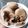 Cooksnap dari Wiji Utamy untuk resep Cookies Teflon (Recook Ci Yackikuka, 4 bahan)