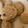 El cooksnap de Naty Escobar cuando hizo Galletas de mantequilla con chips de chocolate (con avena).
