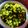 Suchitra S(Radhika S)'s cooksnap of when they made Green Shepu leafy with moong dal sabzi (green shepu sabzi).