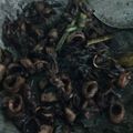 Cooksnap dari Malikah Lulu untuk resep Sotong Masak Hitam