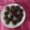 El cooksnap de Melina Ing cuando hizo Galletitas saludables de algarroba.