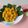Cooksnap dari yanti sutanto untuk resep 🌸 Pom Pom Tahu