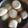 Sumita Roychowdhury's cooksnap of when they made রসগোল্লা (Rasagolla recipe in bengali).