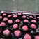 Cooksnap dari Maria Ulfah untuk resep Coklat yupi