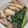 Bò's cooksnap of when they made Phở gà !.