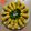 Sonal Doshi's cooksnap of when they made ચટપટી ગુજરાતી ખાંડવી (Chatpati Gujarati Khandvi Recipe In Gujarati).