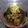 Cooksnap dari Wolf Zester untuk resep Rawon Daging Sapi