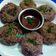 Arya Paradkar का कुकस्नैप जब उन्होंने बिट रुट कटलेट (beetroot cutlet recipe in Hindi) बनाया था।