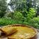 Cooksnap dari Atik dwi untuk resep Pie Susu Teflon by Yackikuka