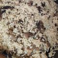 El cooksnap de Deborah cuando hizo Risotto de setas, parmesano y trufa negra🧀.