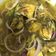 Cooksnap Iza Love semasa beliau membuat 👩‍🍳LAUK PAUK : IKAN KEMBUNG MASAK ASAM PKP.
