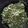 Eunice Arina's cooksnap of when they made Fried Sukuma wiki.
