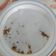 Cooksnap dari Nathalia Joliati untuk resep Bubur Kacang Hijau ala Burjo Abang-abang #bikinramadanberkesan