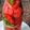 Bina Samir Telivala's cooksnap of when they made Watermelon detox drink.