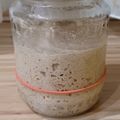 Bernadett Muk Cooksnap-ja, amikor elkészítette a(z) Kovász receptet.