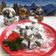 Cooksnap dari Firda@home untuk resep Turkish Delight