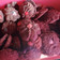 Cooksnap dari Melisa veronica armand untuk resep Semprit Coklat (Putih Telur)