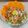 Jasmin Motta _ #BeingMotta's cooksnap of when they made Pico di gallo.