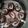 SHRUTI BUCH's cooksnap of when they made ચોકલેટ રોલ (Chocolate Roll Recipe in Gujarati).