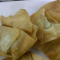 Saira Abdullah's cooksnap of when they made Chicken Wontons.