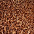 Cooksnap dari Tinezia Verin untuk resep Sarang semut aka cake caramel anti gagal