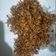 Cooksnap dari Sofi Megawati untuk resep Bawang goreng renyah tahan sebulan