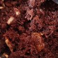 swathi's cooksnap of when they made தலைப்பு : ராகி சேமியா இனிப்பு புட்டு(ragi semiya sweet puttu recipe in tamil).