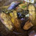 Cooksnap dari Siti Fatimah Nsr untuk resep Gulai Ikan Patin