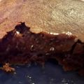 Cooksnap από Γιολάντα Πούρη στη συνταγή Σουφλέ Σοκολάτας (με υγρή, απολαυστική γέμιση)