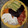 El cooksnap de Alex Santana cuando hizo Ensalada de quinoa y espinacas take away.
