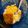 Cooksnap dari kucingkepanasan untuk resep Sup Jagung Ayam Wortel (Simple Sat Set No Ribet 🤓)