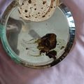 Sara Garg 's cooksnap of when they made Brinjal bharta.