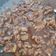 Cooksnap dari Jennifer Aza untuk resep Beef teriyaki