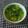 Suchita Ingole Lavhale's cooksnap of when they made दह्याचे बेसन (dahi besan recipe in marathi).